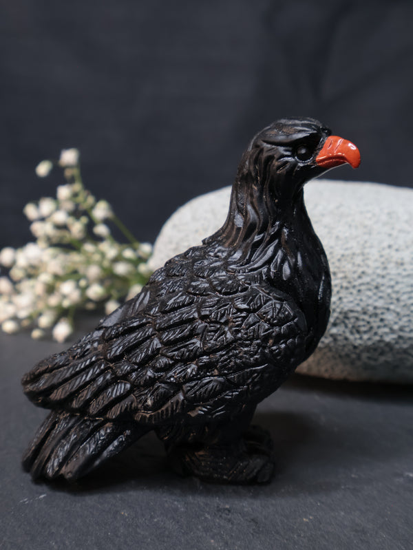 Black Tourmaline Eagle — The Symbol of Supreme Protection, Strength & Higher Vision